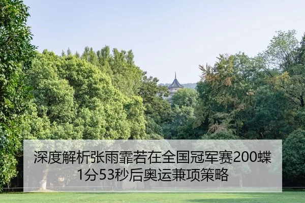 shen-du-jie-xi-zhang-yu-fei-ruo-zai-quan-guo-guan-jun-sai-die-fen-miao-hou-ao-yun-jian-xiang-ce-lve-1-620.jpg